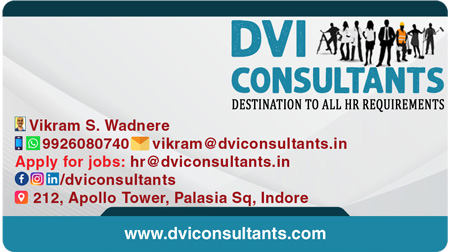 DVI Consultants